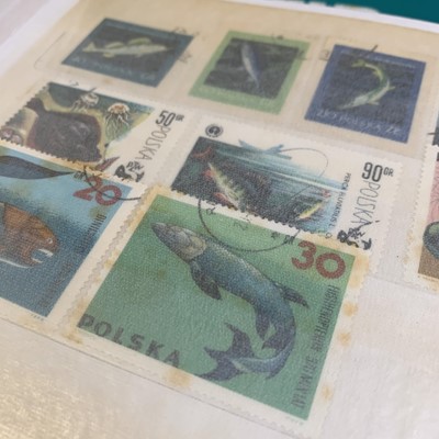 Lot 362 - GREAT BRITAIN & WORLD: Collection containted...