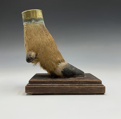 Lot 310 - Taxidermy - A brass mounted deer foot,...