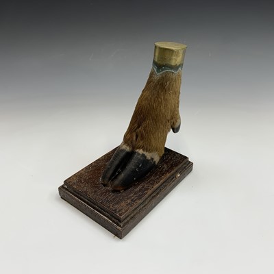 Lot 310 - Taxidermy - A brass mounted deer foot,...