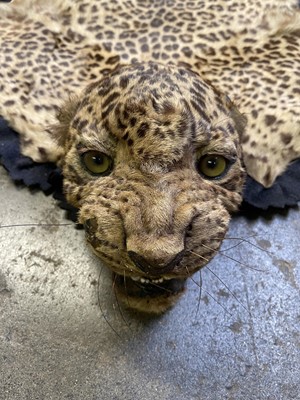 Lot 317 - An Indian leopard skin rug, by Van Ingen & Van...
