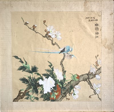 Lot 154 - A Chinese painting on silk of exotic birds...