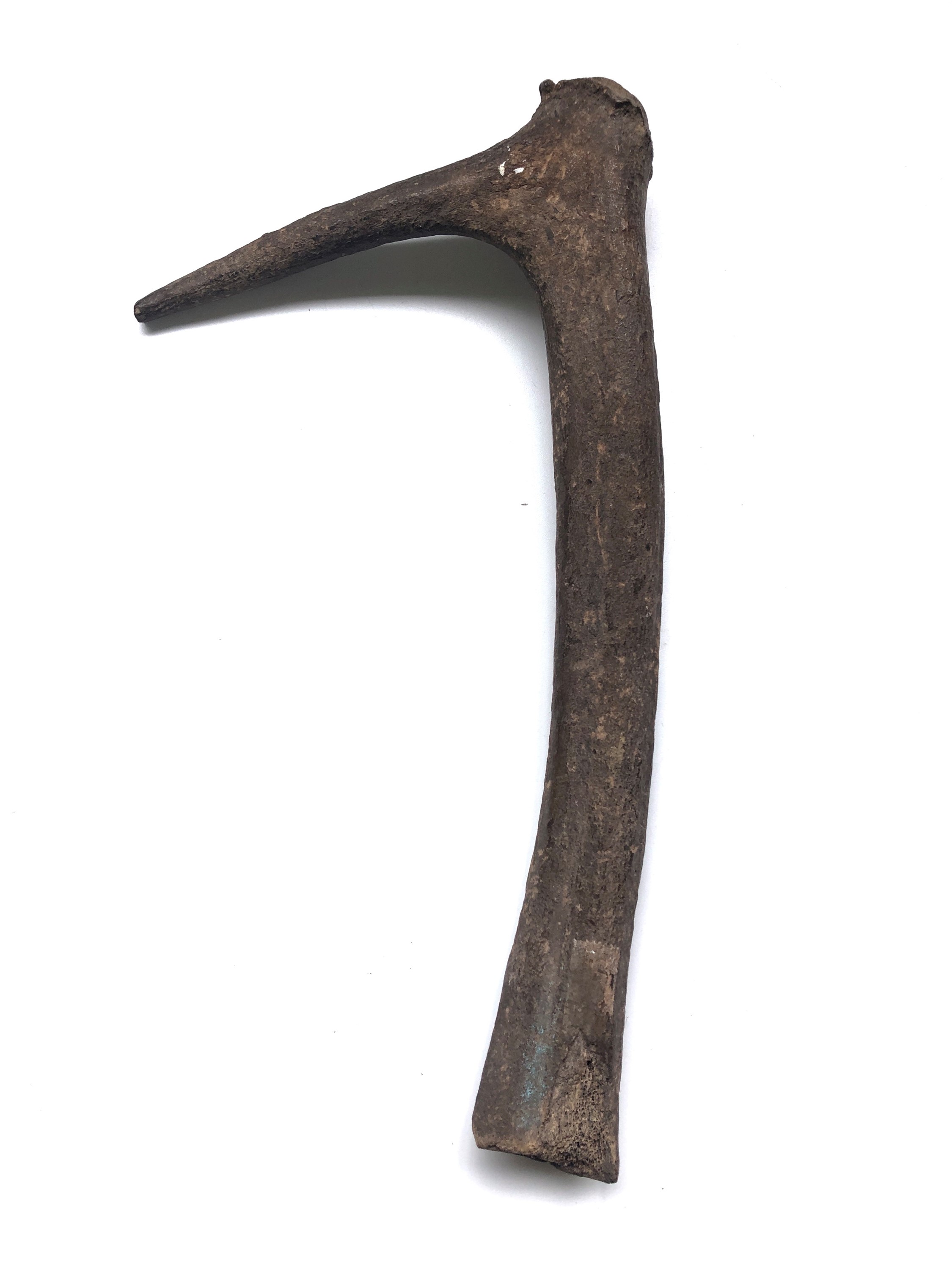 Ancient Antler Rake Lot 470 - Neolithic Antler pick, Grimes Graves, 136g,