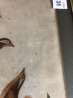 Lot 135 - A pair of Chinese rice paintings of birds,...