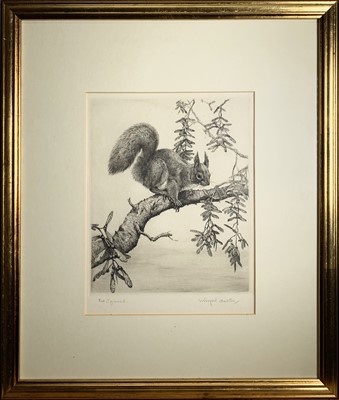 Lot 568 - Winifred Marie Louise AUSTEN (1876-1964) Red...