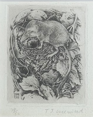 Lot 1430 - Timothy J GREENWOOD (1947-2010) Shrew Etching,...