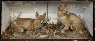 Lot 147 - An Edwardian taxidermy display of two fox cubs...