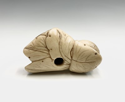 Lot 62 - A Japanese carved bone netsuke of Pak Choi,...