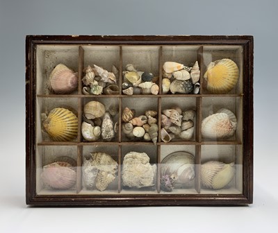 Lot 496 - A Victorian shell collection housed in a...