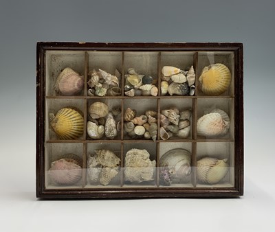 Lot 496 - A Victorian shell collection housed in a...