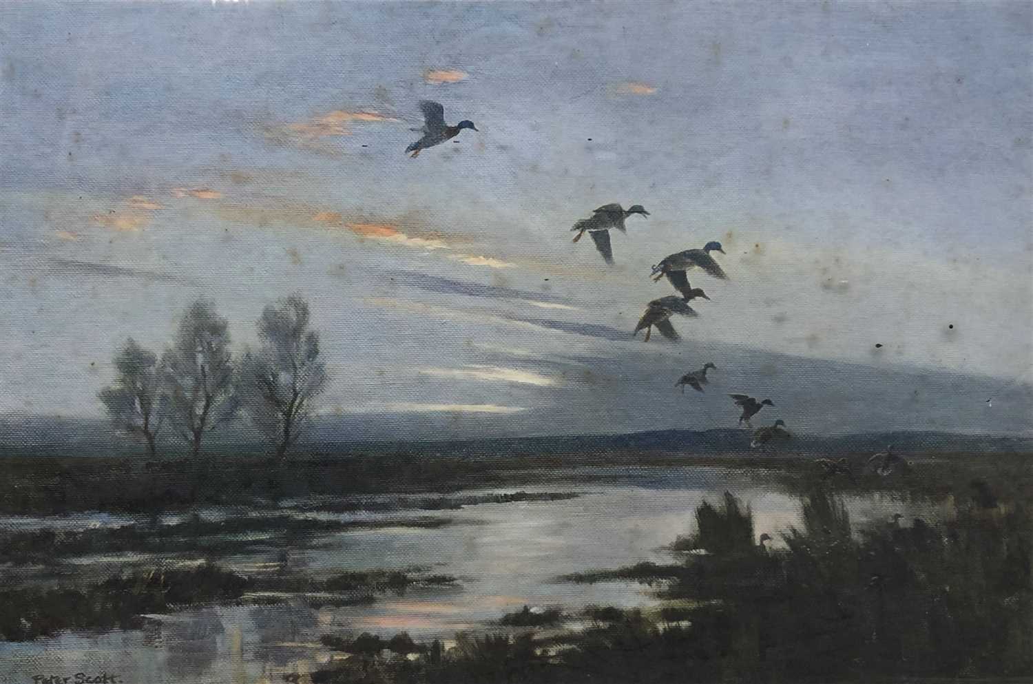 Lot 622 - Peter SCOTT (1909-1989), Ducks in Flight at...