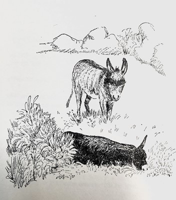Lot 1290 - DEREK TANGYE. 'The Ambrose Rock'. 1st edition,...