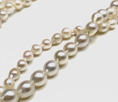 Lot 92 - A pearl necklace 20gm