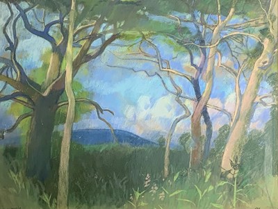 Lot 315 - Ken SYMONDS (1927-2010) Woods at Lelant Pastel...