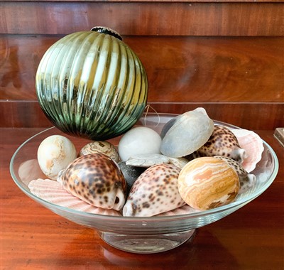 Lot 146 - A glass bowl with shells, fossils, etc.