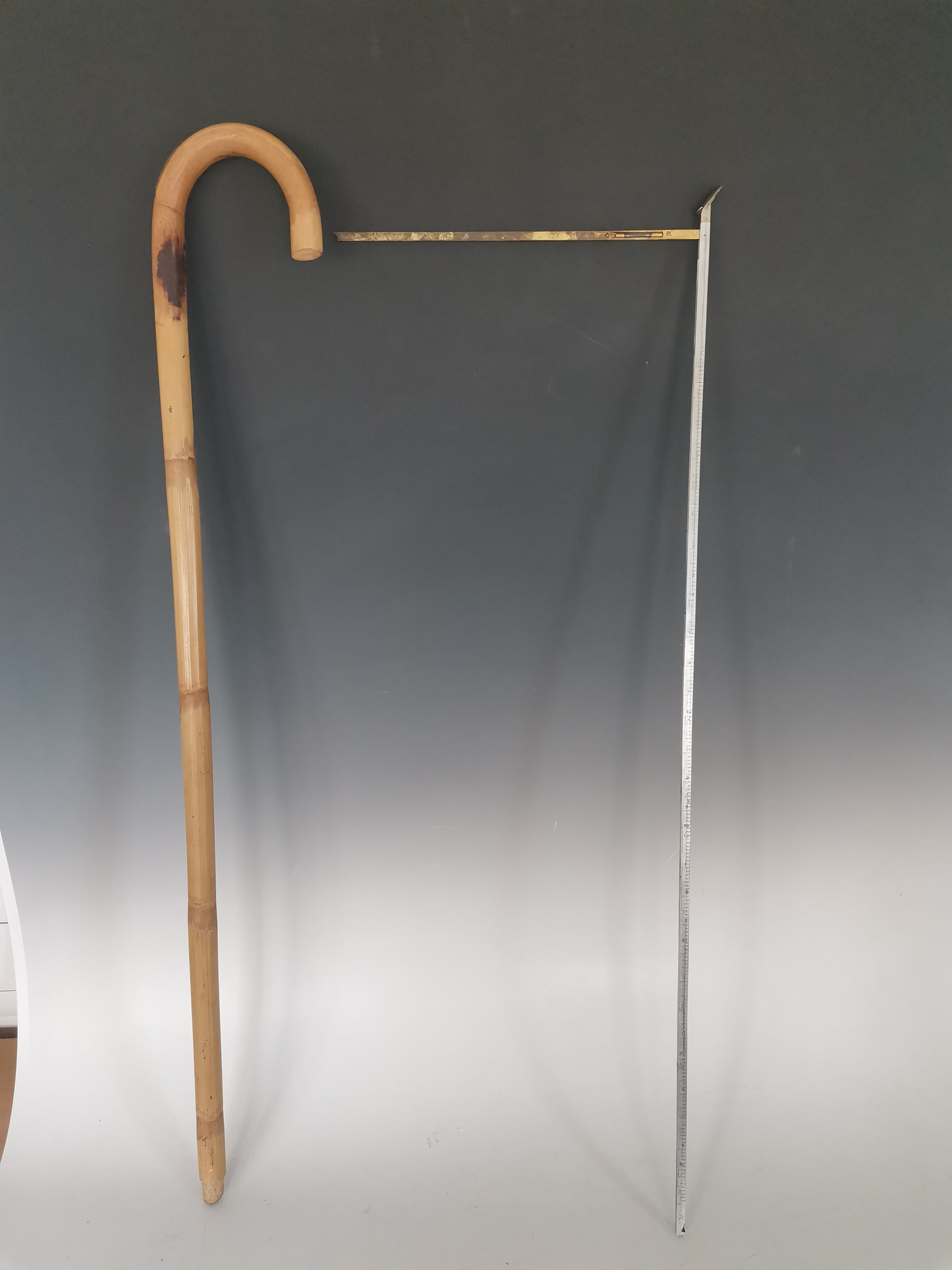Lot 192 An antique horse measuring walking cane, two
