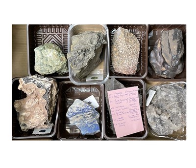 Lot 369 - An interesting collection of eight named rock...