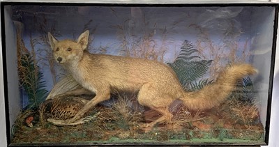 Lot 156 - A taxidermy stuffed and mounted fox with...