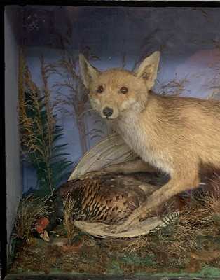 Lot 156 - A taxidermy stuffed and mounted fox with...