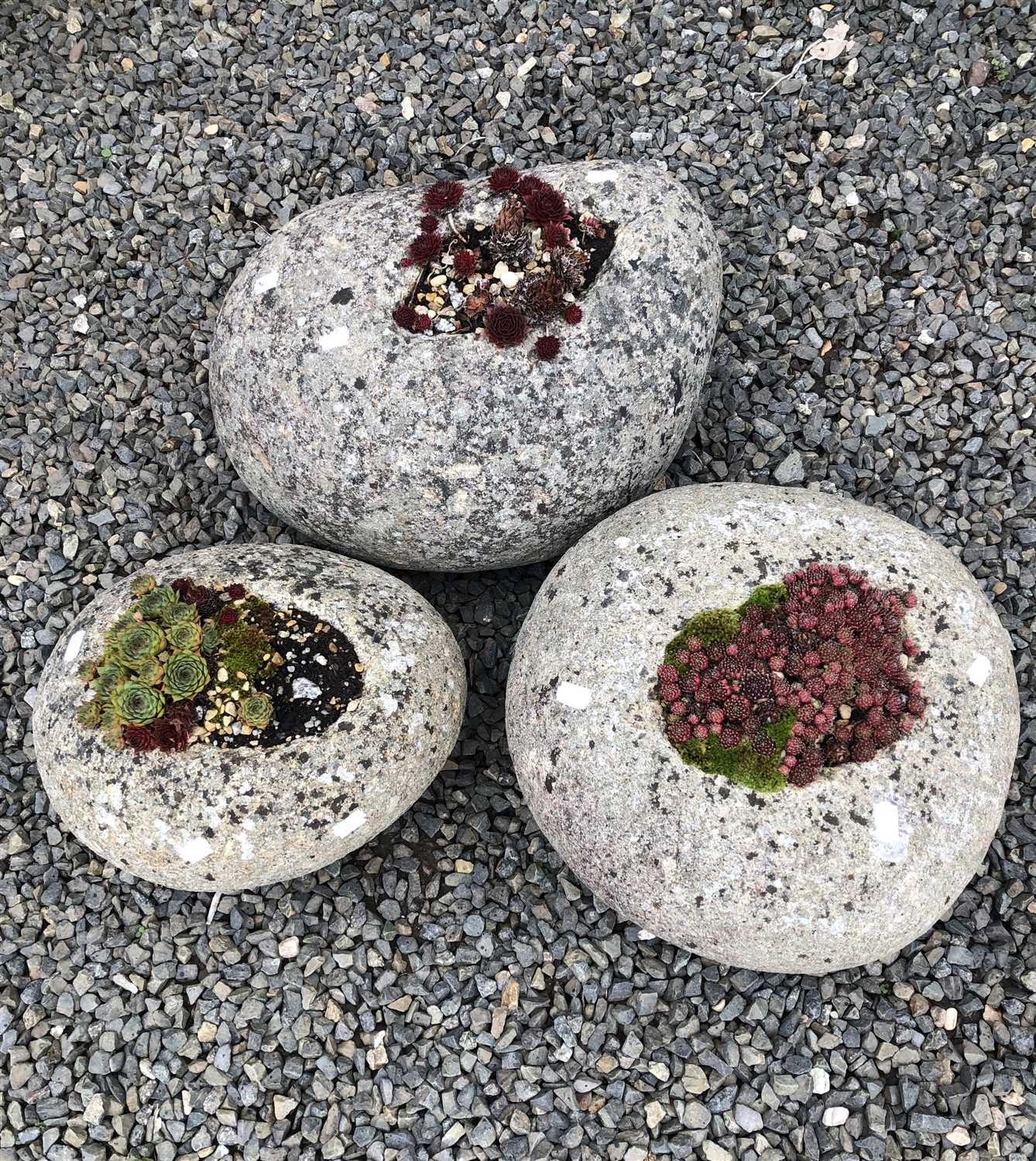 Lot 552 A group of three natural stone planters,