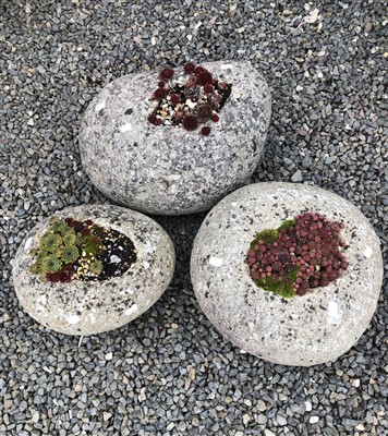 Lot 552 - A group of three natural stone planters,...