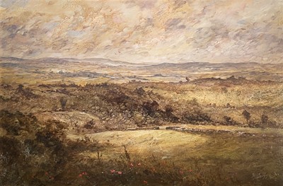 Lot 243 - Steve SLIMM (1953) Landscape, near Camborne...