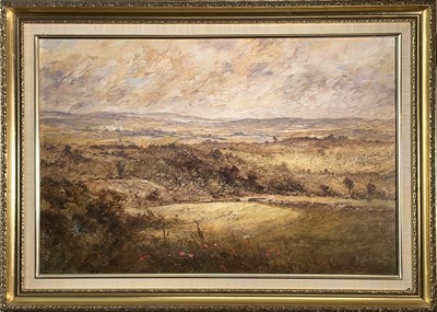 Lot 243 - Steve SLIMM (1953) Landscape, near Camborne...