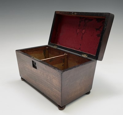 Lot 165 - An early 19th century mahogany tea caddy, of...