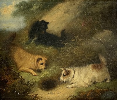 Lot 1247 - George ARMFIELD (1808-1893) Three Terriers...