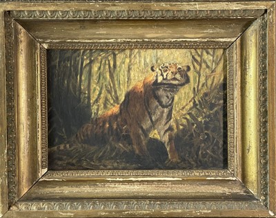 Lot 1231 - Charles FORBES-MATHESON The Tigers Lair Oil on...