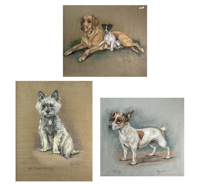 Lot 1151 - Marjorie COX (1915-2003) Three dog studies...