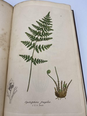 Lot 402 - CHARLES JOHNSON. 'The Ferns of Great Britain'....