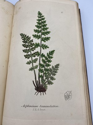 Lot 402 - CHARLES JOHNSON. 'The Ferns of Great Britain'....