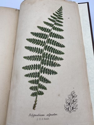 Lot 402 - CHARLES JOHNSON. 'The Ferns of Great Britain'....