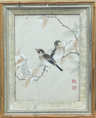 Lot 324 - Four Chinese paintings of birds on silk, 19th...
