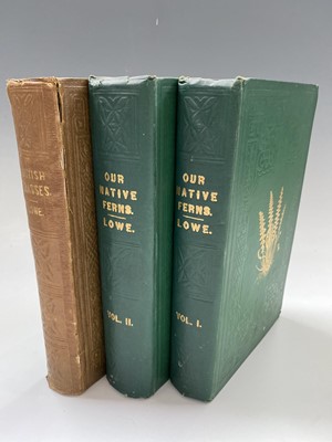 Lot 416 - E. J. LOWE. 'Our Native Ferns'. Two volumes,...