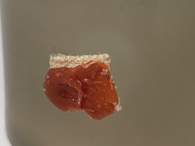 Lot 410 - A Chinese jade archers ring, diameter 3cm.