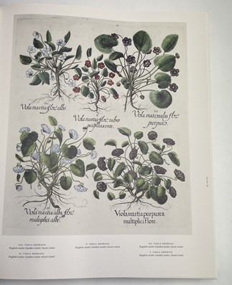Lot 474 - PIERRE-JOSEPH REDOUTE. 'Roses 2.' First...