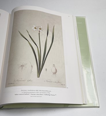 Lot 474 - PIERRE-JOSEPH REDOUTE. 'Roses 2.' First...