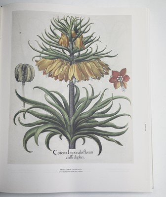 Lot 474 - PIERRE-JOSEPH REDOUTE. 'Roses 2.' First...