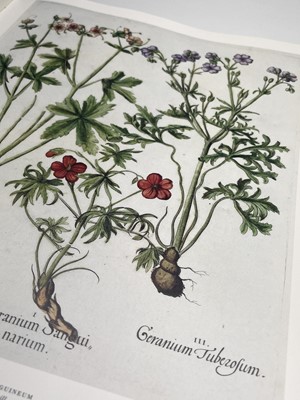 Lot 474 - PIERRE-JOSEPH REDOUTE. 'Roses 2.' First...