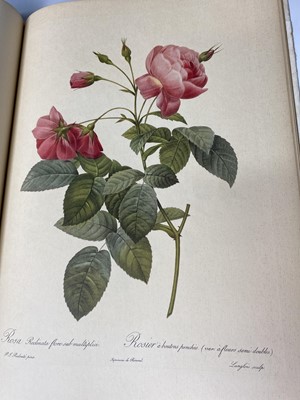 Lot 474 - PIERRE-JOSEPH REDOUTE. 'Roses 2.' First...