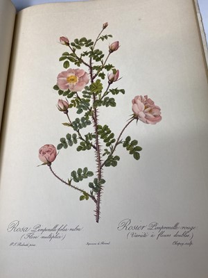 Lot 474 - PIERRE-JOSEPH REDOUTE. 'Roses 2.' First...