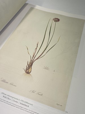 Lot 474 - PIERRE-JOSEPH REDOUTE. 'Roses 2.' First...