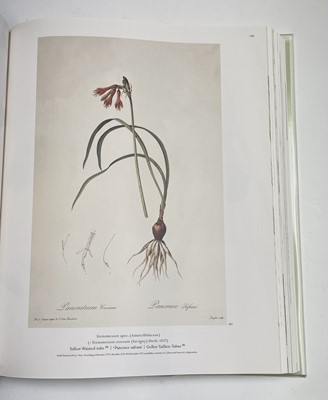 Lot 474 - PIERRE-JOSEPH REDOUTE. 'Roses 2.' First...