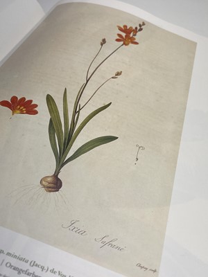 Lot 474 - PIERRE-JOSEPH REDOUTE. 'Roses 2.' First...