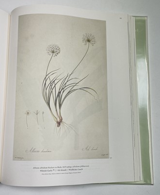 Lot 474 - PIERRE-JOSEPH REDOUTE. 'Roses 2.' First...