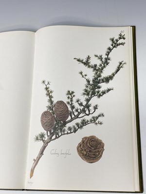 Lot 476 - BOTANY INTEREST. 'Wild Flowers of Cyprus.'...