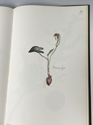 Lot 476 - BOTANY INTEREST. 'Wild Flowers of Cyprus.'...