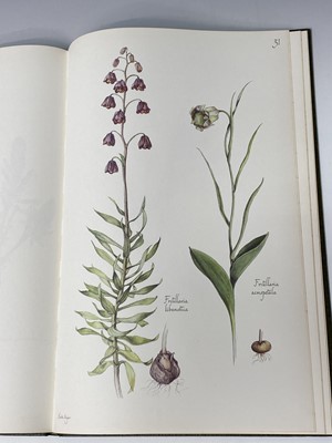Lot 476 - BOTANY INTEREST. 'Wild Flowers of Cyprus.'...