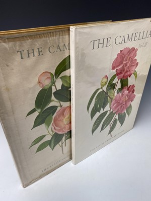 Lot 477 - BERYL LESLIE URQUHART. 'The Camellia.' Two...